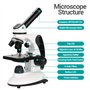 40X-2000X Microscope pour Enfants Adultes, Microscope Professionnel étudiant à Double éclairage LED avec Kits scientifiques, pou