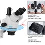 VEVOR Microscope Stéréo 3.5X-90X Simul Focal Trinoculaire Zoom 360 Degrés Rotatif Trinoculaire Stéréo Microscope Double Bras Sta