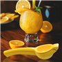 UDNFHL Juicer Au Citron en 2 Pièces, Durable Et Multifonctional Metal Fruit Juicer, Manuel, Outils De Cuisine.