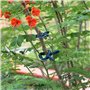 ANCLLO Lot de 20 Pinces Douces pour Plantes et Fleurs - Clips de Support Réglable pour Plantes Caches de Tuteurs de Jardin Struc