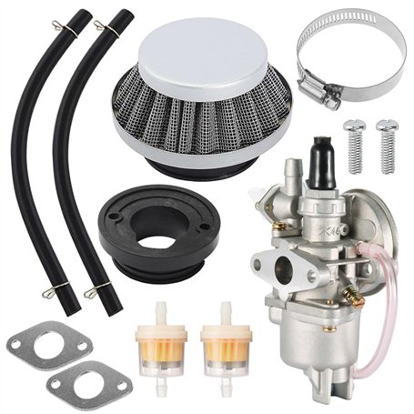 Carburateur Avec Filtre A Air