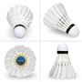 Balles de Badminton Shuttlecock pour Intérieur