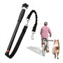 BORDEAG Laisse pour Chien De Vélo