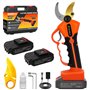 Secateur Electrique Sans Fil