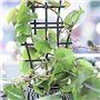 MHwan Tuteur Plante Grimpante, 6 Pièces Treillis pour Plantes Grimpantes Empilables Résistants à lUsure, Solide et Robuste, Réut