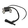 Bobine d'allumage 196 cc 212 cc pour GX120 GX140 GX160 Predator 212 cc pour moteur et générateurs Coleman Ct200u 5,5 hp 6,5 hp