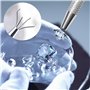 Lot de 3 Pinces à Épiler Avec Pointe en Pierre Précieuse - Outils de Perçage en Acier Inoxydable Pour Bijoux, Billes et Perles -