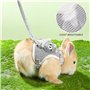 Harnais avec laisse pour lapin et petits animaux - Accessoire réglable et respirant (gris)