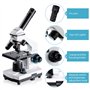 BEBANG 100X-2000X Microscope pour Enfants Adultes, Professionnel Biologique Microscope pour Etudiants Scolaire Laboratoire