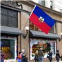 Drapeau Haïtien 150 x 90cm Drapeau Haïti 5 x 3ft Grand Drapeau Haïtien en Avec œillets en Métal Célébrations à Intérieur Extérie
