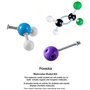 Poweka Modèle Moléculaire de Chimie Kit de Structure de Biochimie de Base, Kit de Molécules Organiques pour Enseignants Étudiant