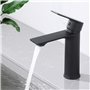 HOMELODY Robinet Lavabo Noir Mitigeur Salle de Bain Robinet Vasque Mitigeur Lave Main eau chaude et froide Robinetterie Acier in