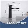 HOMELODY Robinet Lavabo Noir Mitigeur Salle de Bain Robinet Vasque Mitigeur Lave Main eau chaude et froide Robinetterie Acier in