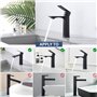 HOMELODY Robinet Lavabo Noir Mitigeur Salle de Bain Robinet Vasque Mitigeur Lave Main eau chaude et froide Robinetterie Acier in