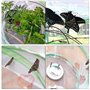 Papillon Habitat Cage,YouXiaor Insectes Papillon Habitat Cage Pliante Habitat d'Insectes et de Papillons Habitat d'Insectes Inse
