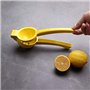 PIQIUQIU Presse-Citron - Presse-Agrumes Manuel en métal (Couleur aléatoire)