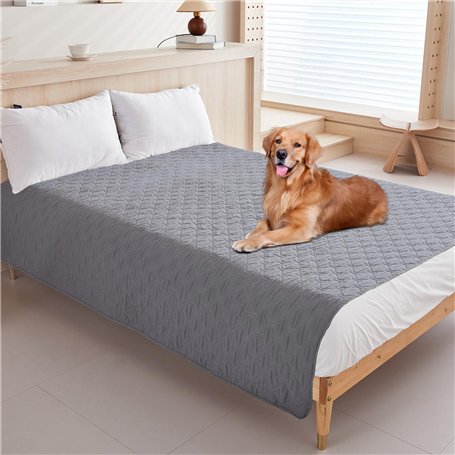 Zhufas Couverture Chien