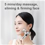 Rouleaux Massage Visage Anti Age, Appareil Masseur Facial EMS Anti Rides Electrique, Vibrations, 6 Vitesses