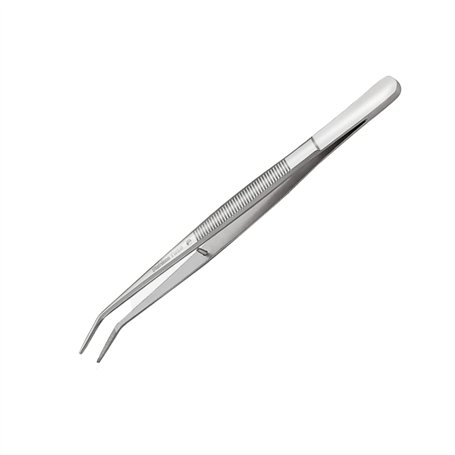 Pinces à Epiler en Acier Inoxydable