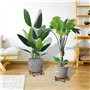 PETSUPS Lot de 2 supports de plantes en bois avec roues de 30 cm avec roulettes verrouillables en métal robuste