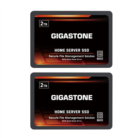 Gigastone Serveur SSD 2To (Lot de 2) NAS SSD Cache 24h/24