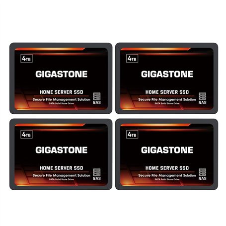 Gigastone Serveur SSD 4To (Lot de 4) NAS SSD Cache 24h/24