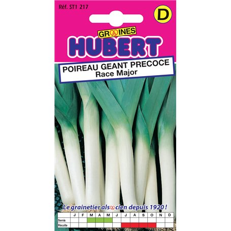 Graines de Poireau Géant Précoce Race Major - 1 gramme