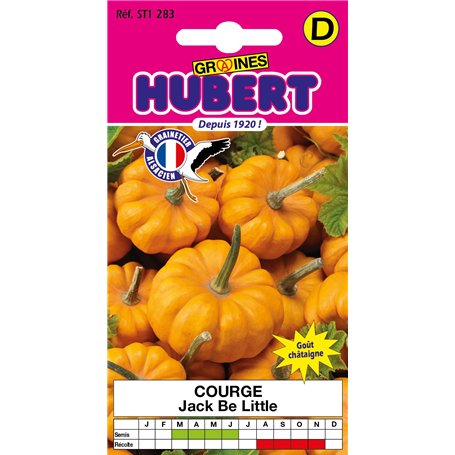 Graines de Courge Jack Be Little - Pomarine