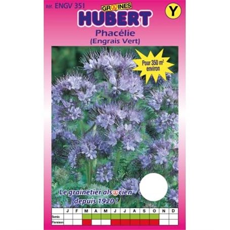 Graines de Phacélie Pour 350 m² - Engrais Vert - 350 grammes