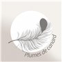 Linnea Traversin 200 cm GRIZZ'LIT Plumes 100% Plumes de Canard