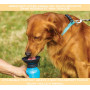 PARENCE - Bouteille d'eau pour Chien avec Bol intégré - Gourde d'eau de Voyage et Transport - Voiture, intérieur et extérieur - 