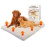 Tapis Chauffant Chat (blanc - 60x45cm) - couverture chauffante chat & Chien - Coussin Auto-Chauffant sans Electricité & Batterie