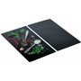 WENKO Allstar Plaque de Protection en Verre Basilic Set de 2 - Set de 2