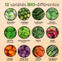 Set de graines de légumes BIO - 12 sortes de graines de légumes issues de l'agriculture biologique, graines résistantes aux grai