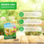 Le Paradis des Abeilles Graines – Mélange pour bacs de balcon (mélange annuel) poids: 10 g – suffisant pour 5 jardinières d’une 