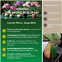 Garten Lux Bio Spray vital pour orchidées avec 16 oligo-éléments pour l'entretien des orchidées - Prêt à l'emploi - 300 ml