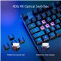 ROG RX
