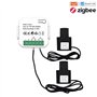 Fowecry Compteur D'Énergie Tuya Smart ZigBee 2 Voies Bidirectionnel avec Pince de Capteur de Courant App Moniteur Puissance 100-