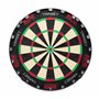 Target Darts TOR Dartboard