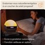 Lumie Bodyclock Luxe - 700FM Réveil Lumie avec FM Radio Enceinte Bluetooth Lumière Bleu Faible pour Sommeil