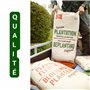 La Plaine Chassart - Terreau Plantation 50L - Toutes Variétés de Plantes Extérieur - Parc, Jardin, Terrasse, Balcon - Arbres, Ar
