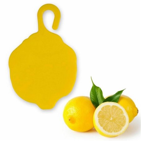 2 désodorisants pour le lave-vaisselle au parfum citron