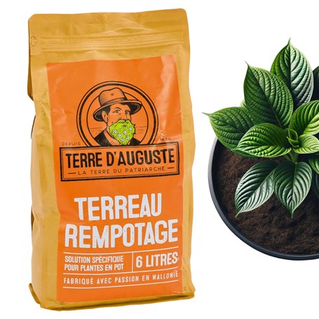 Terre D'AUGUSTE - Terreau Rempotage 6L avec Fermeture Eclair Refermable - Solution Spécifique pour Plantes Vertes & Fleuries en