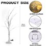 60cm/2ft Lumières de Bouleau avec 24 LEDs Lumières d'arbre de Noël