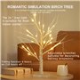 Lot de 2 Arbre Lumineux LED, 60cm/2ft Lumières de Bouleau avec 24 LEDs Lumières d'arbre de Noël,USB/Batterie Arbre Lumineux en B