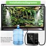 Humidificateur Intelligent et Automatique pour Terrarium - Brumisateur pour Reptiles, Amphibiens et Rainforest