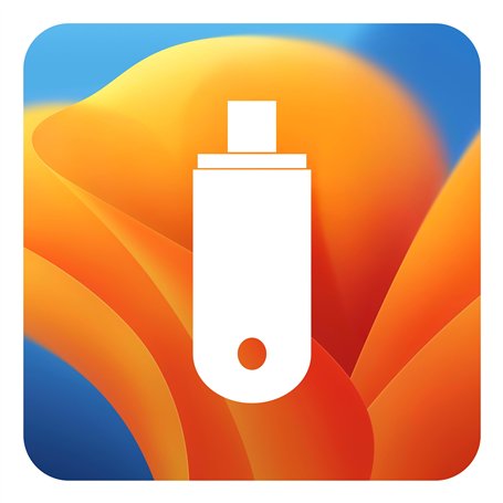 D-S Systems Clé d’Installation Compatible avec macOS 13 Ventura USB Type-C OS X (Clé) d'installation Amorçable Récupération Boot