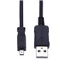 U-8 (U8) Easyshare Câble USB Compatible avec V550 V803 Z612 Z650 Z700 Z710 Z712 IS Z730 Z740 Z760 Z812 IS Z885 Z915 Z950 Z980 Z9