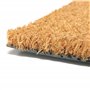 Comart - Paillasson en coco - 40 x 60 cm - Tapis pour entrée intérieure et extérieure - Sèche-cheveux anti-pluie avec fond en PV