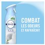Éliminateur D’Odeur Pour Toutes Les Pièces De La Maison Et Gaz Propulseur 100 % Na